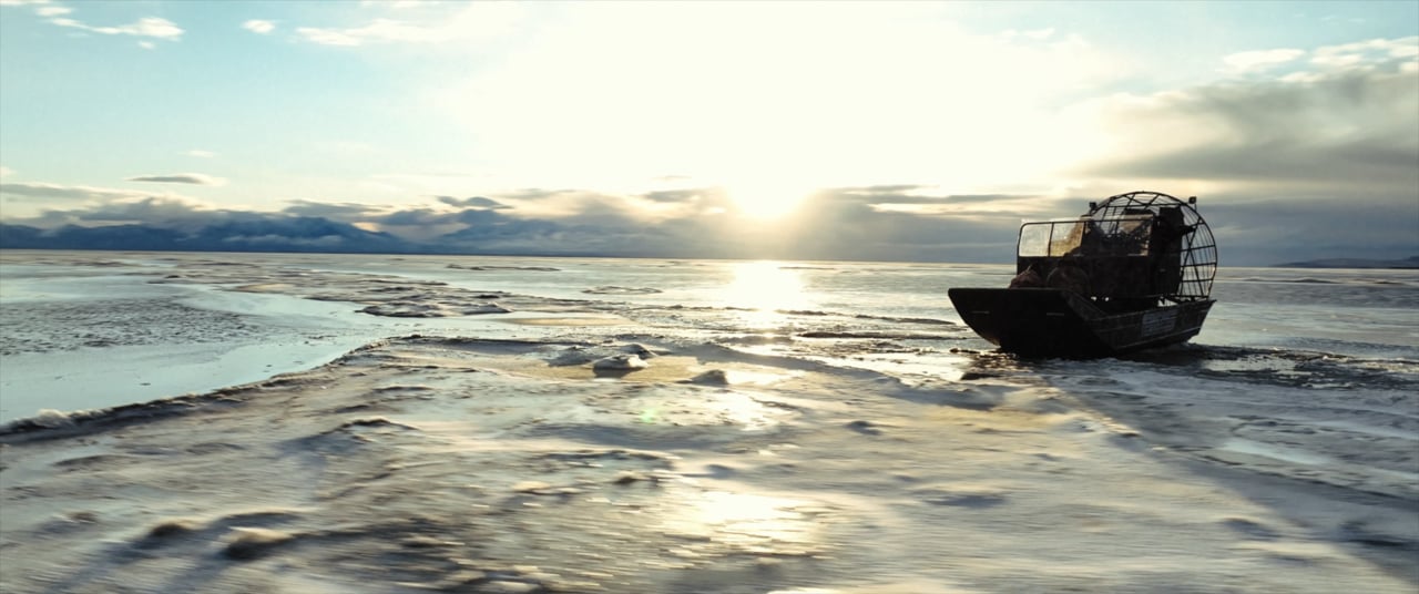 Still from Fathers & Feathers for Fathers & Feathers